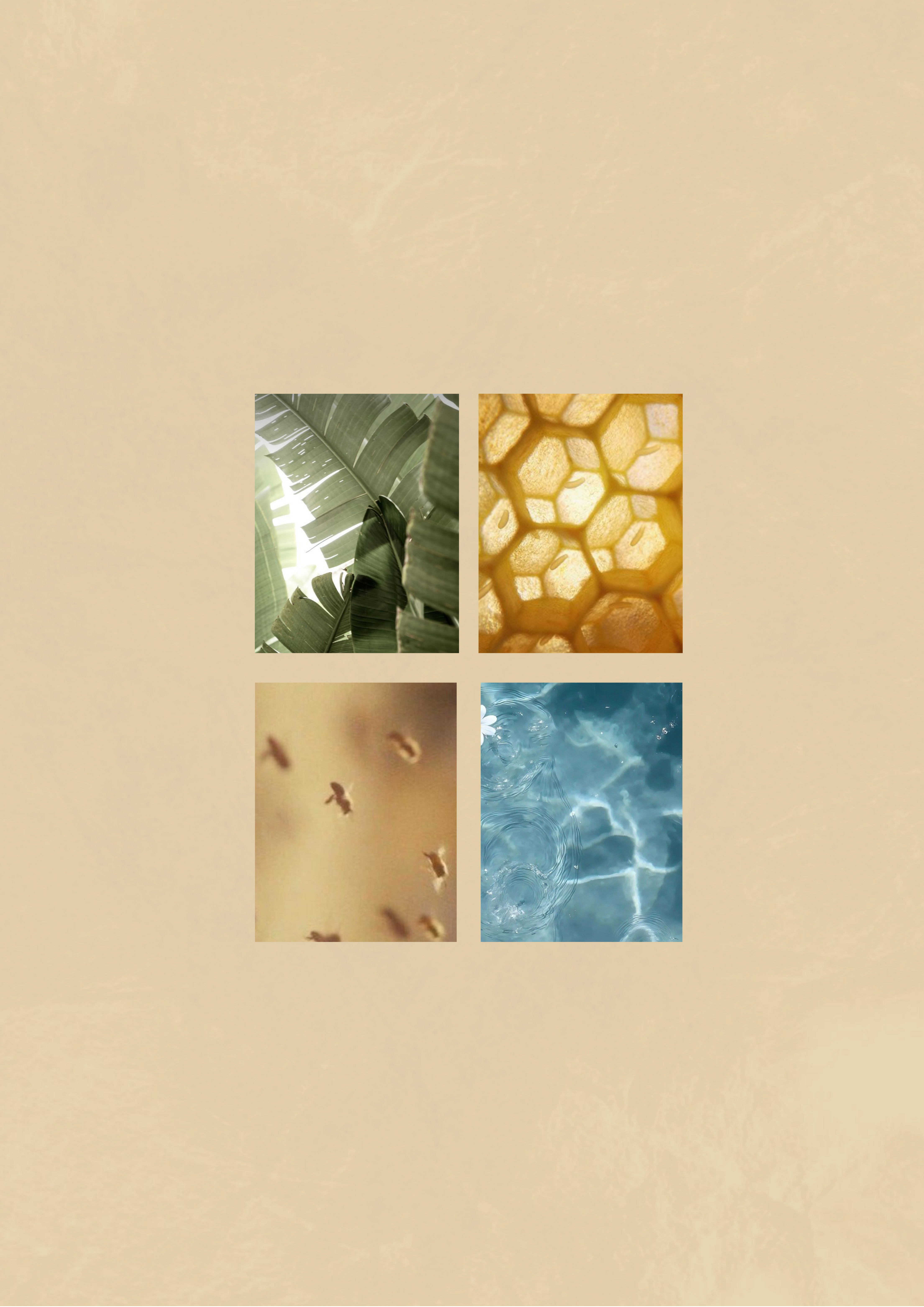 Bee & Ocean colour palette options