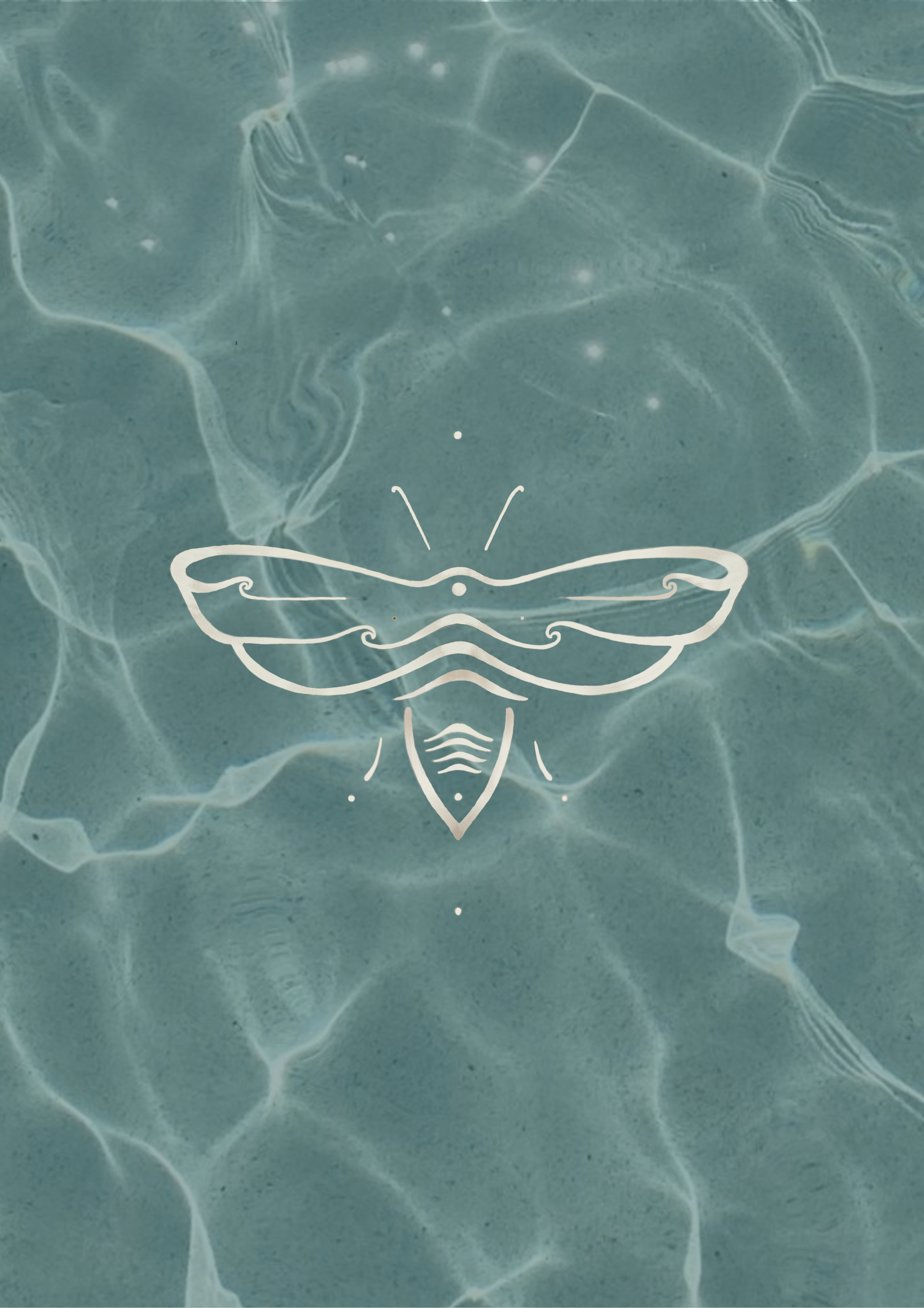 Bee & Ocean logo on blue background