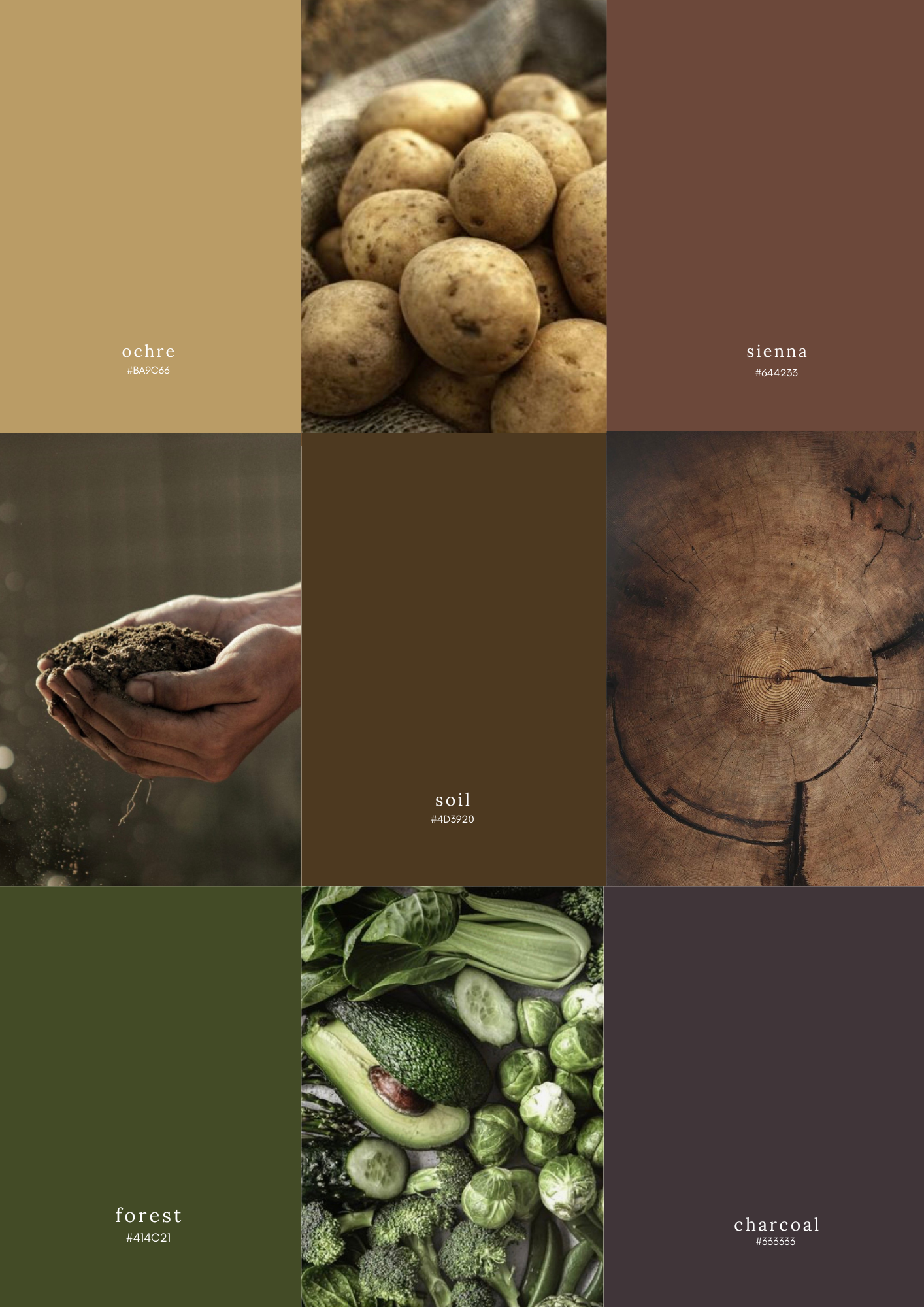 Homegrown colour palette with swatches