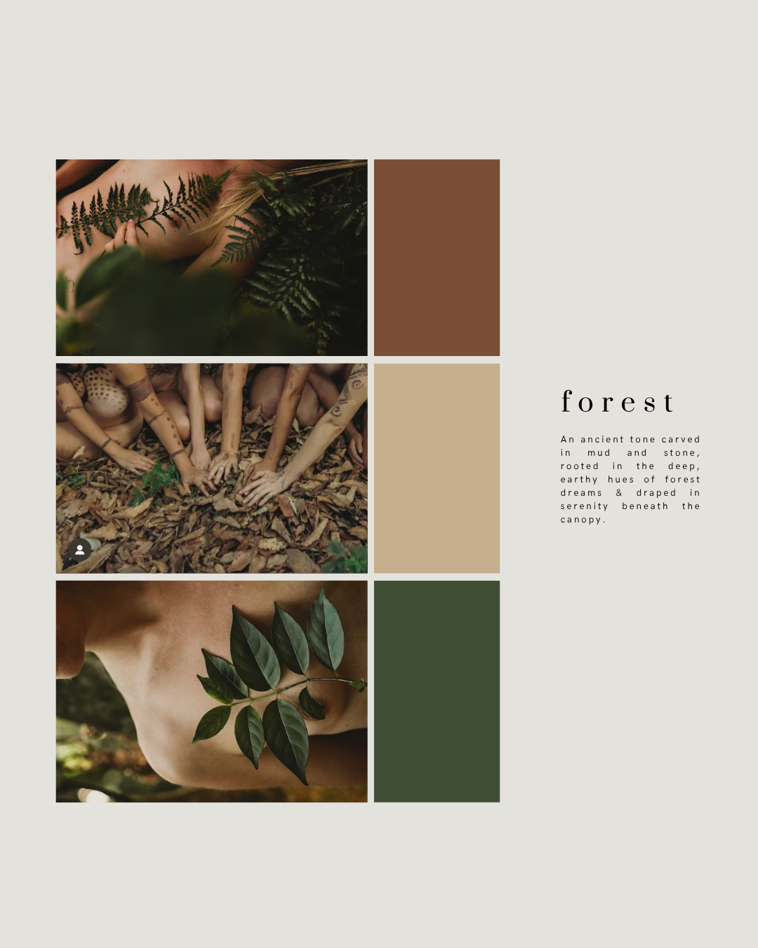 Forest-inspired color palette