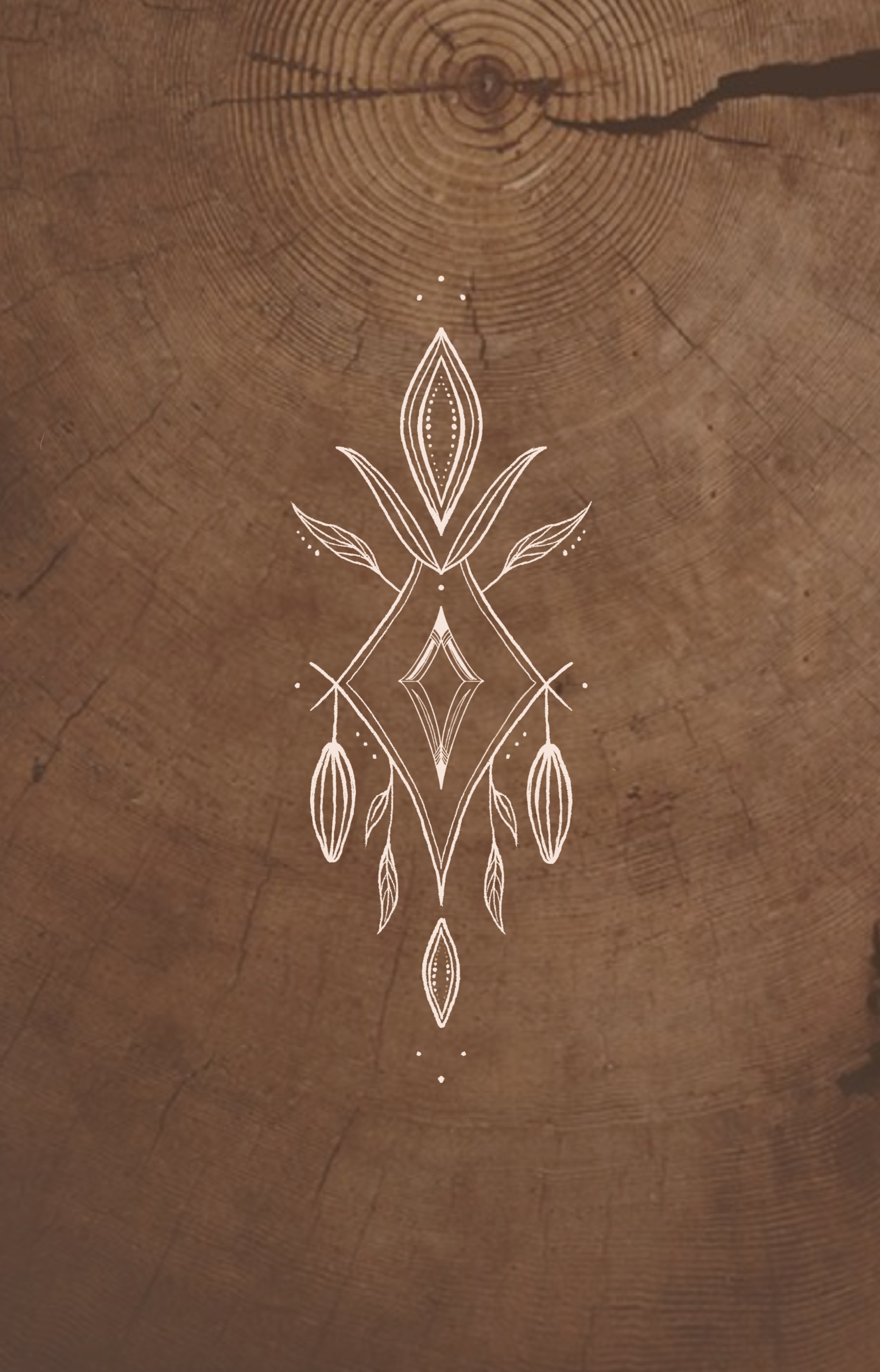 Cacao hand-drawn logo sketch